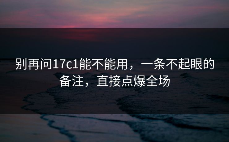 别再问17c1能不能用，一条不起眼的备注，直接点爆全场