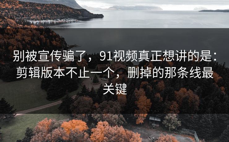 别被宣传骗了，91视频真正想讲的是：剪辑版本不止一个，删掉的那条线最关键