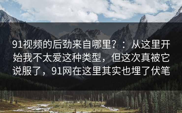 91视频的后劲来自哪里？：从这里开始我不太爱这种类型，但这次真被它说服了，91网在这里其实也埋了伏笔  第1张