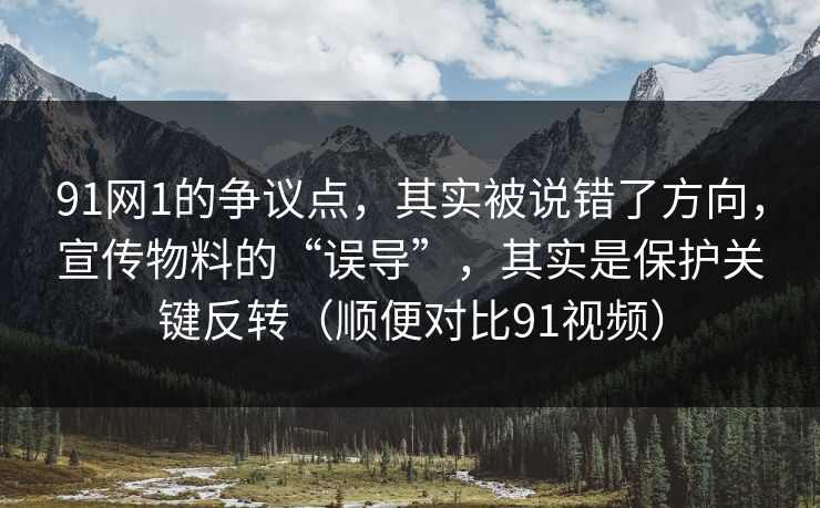 91网1的争议点，其实被说错了方向，宣传物料的“误导”，其实是保护关键反转（顺便对比91视频）  第1张