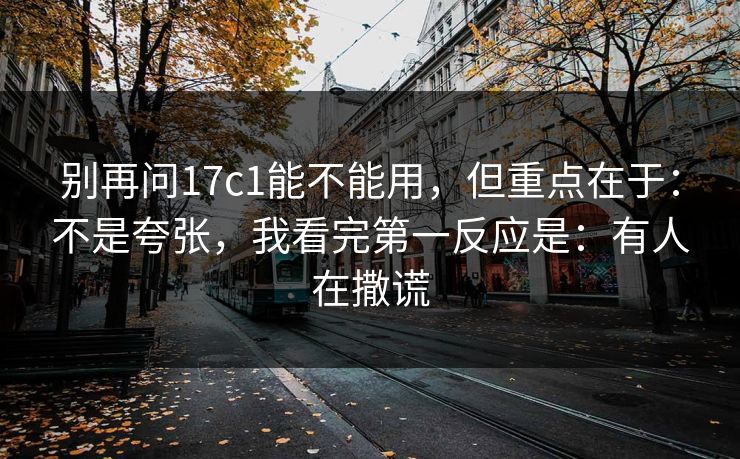 别再问17c1能不能用，但重点在于：不是夸张，我看完第一反应是：有人在撒谎  第1张