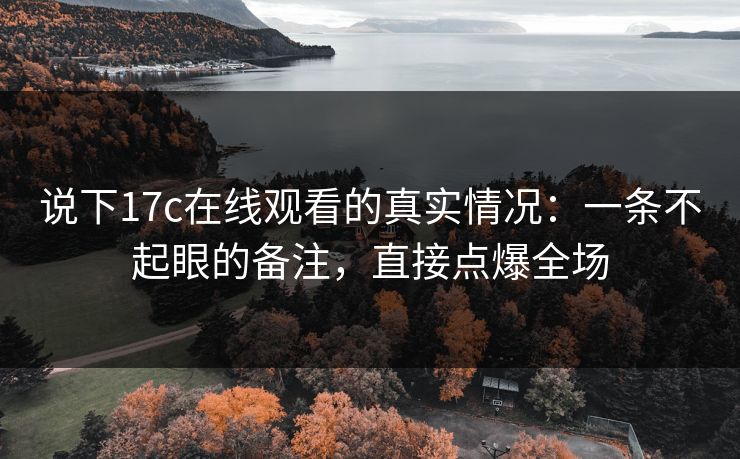 说下17c在线观看的真实情况：一条不起眼的备注，直接点爆全场